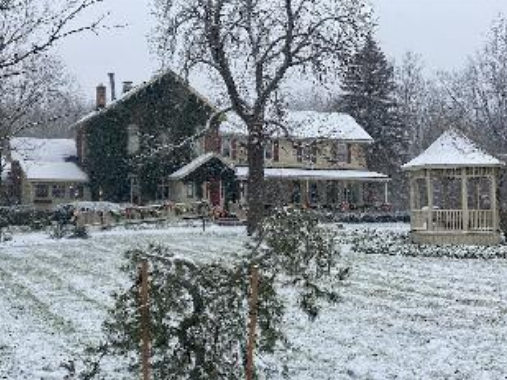 Asa Ransom House Main image